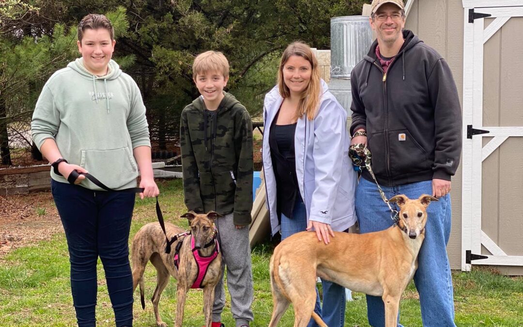 Winnie Adoption Day March 29, 2020